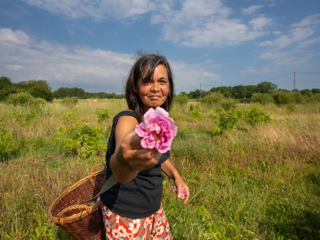 Les Plantes Des Alpes Mancelles Cp Pascal Beltrami Mayenne Tourisme 10107 1920px
