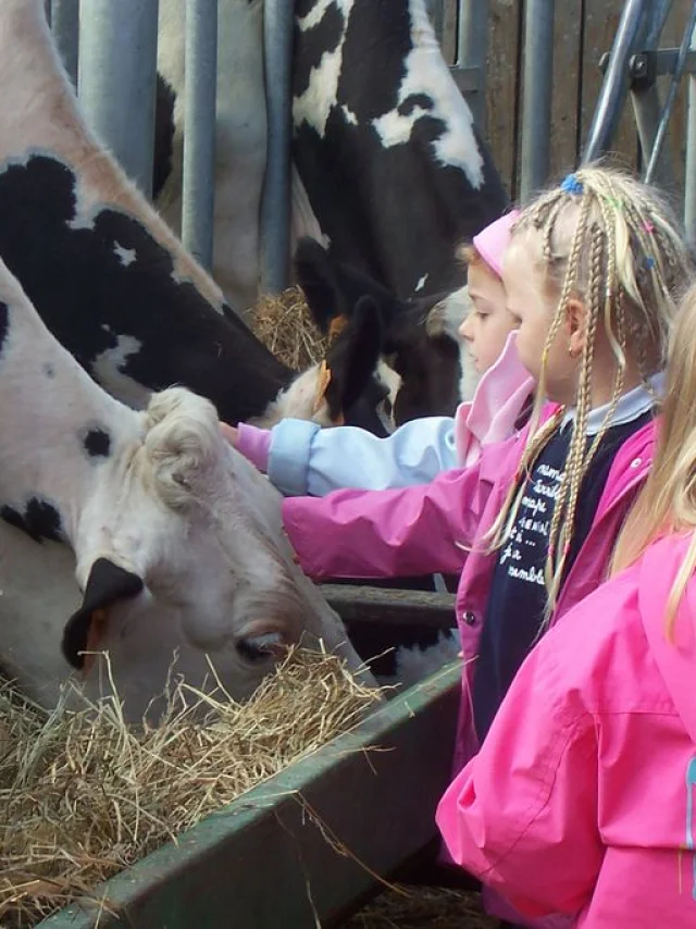 Ferme Pedagogique La Gasselinais