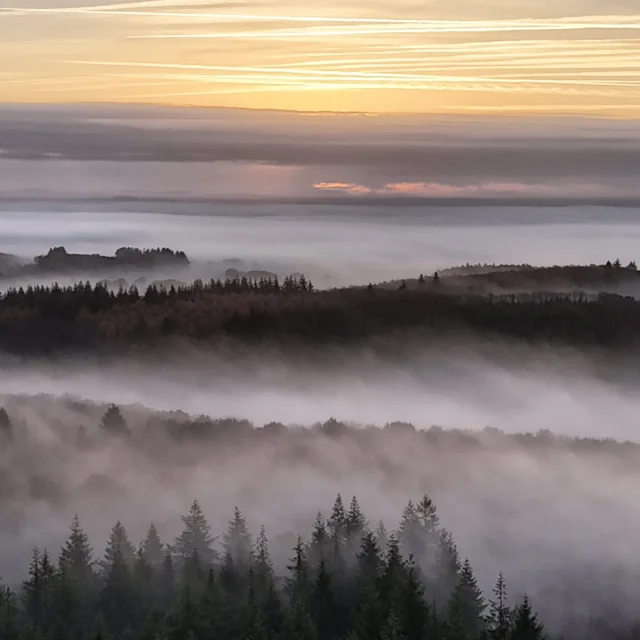 Instagram #lescoevrons