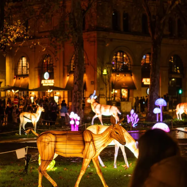 Instagram #destinationmayenne