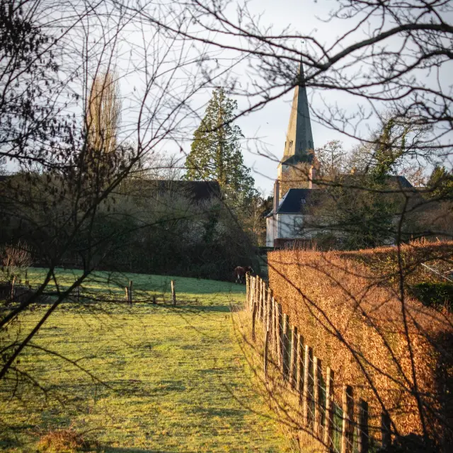 Instagram #mayenne