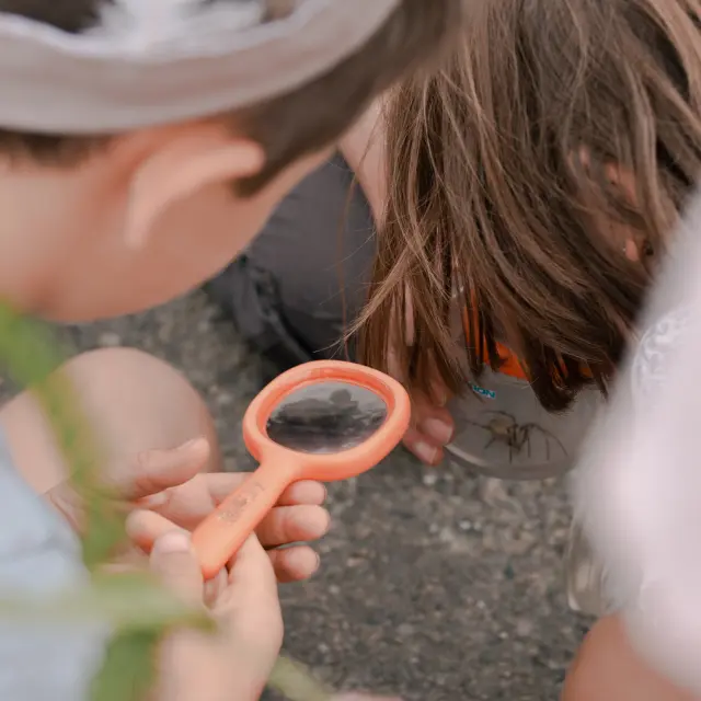 Animation Grand Public C.brehin