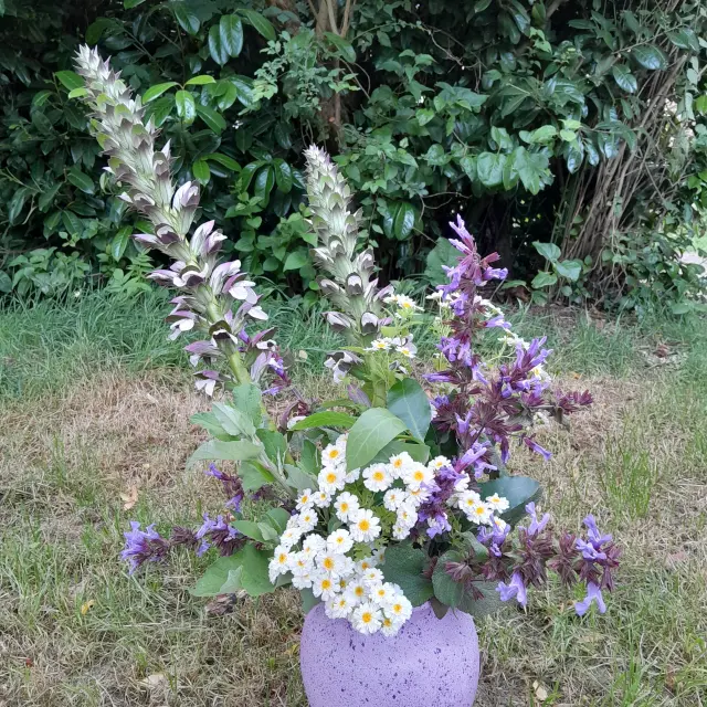 Un bouquet de fleurs aux tons violets et blancs est posé sur l'herbe d'un jardin