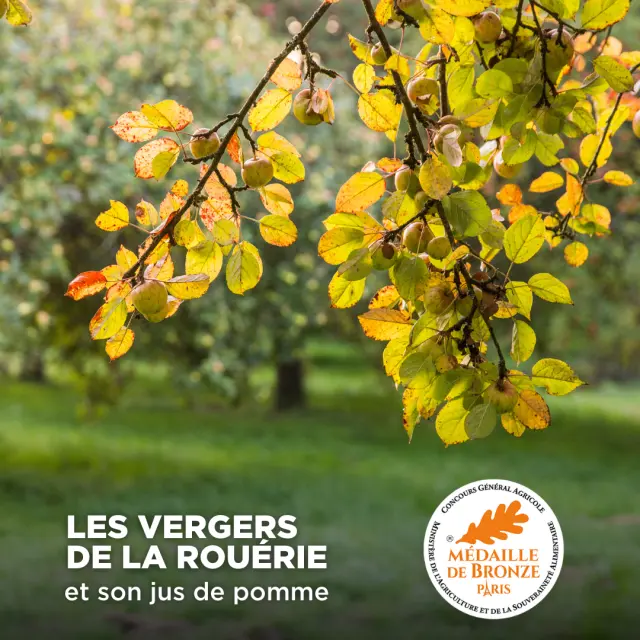 Médaille Vergers de la Rouérie ©Philippe Caharel