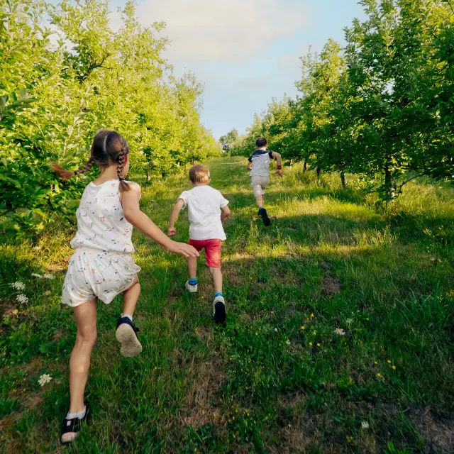 Tiny Pom D Happy Cp Pascal Beltrami Mayenne Tourisme 10150 1920px