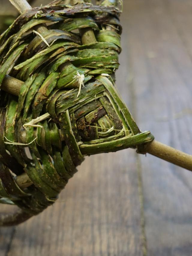 Tressage Sauvage