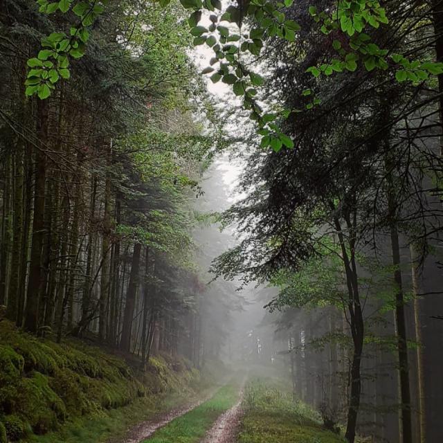 Instagram #jevoislavieenvosges