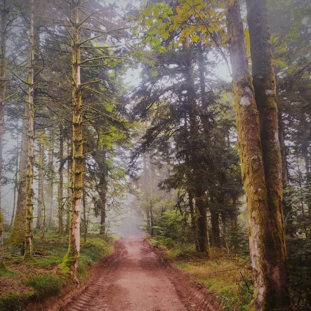 Instagram #jevoislavieenvosges