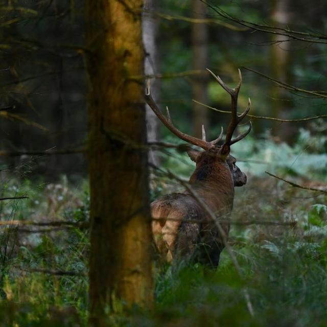 Instagram #jevoislavieenvosges