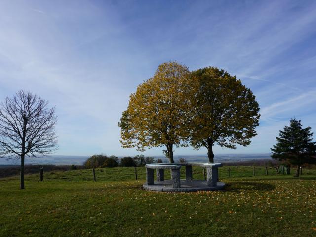 Table D'orientation Croix De Virine