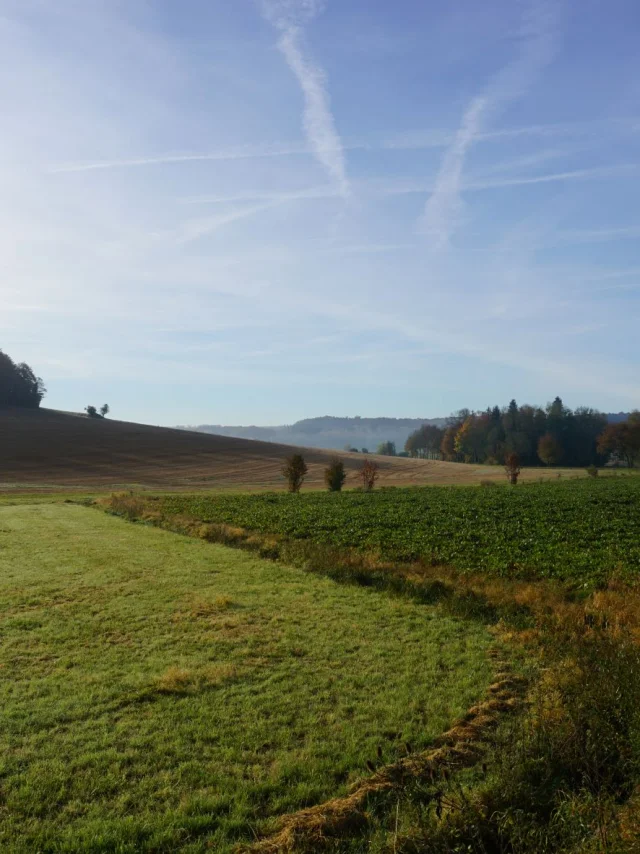 Vue Sur La Plaine