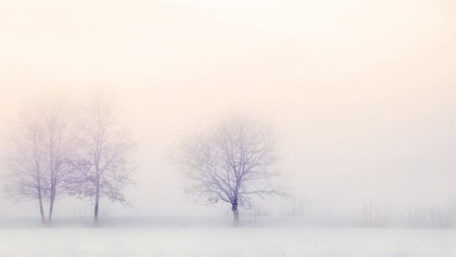 Hiver