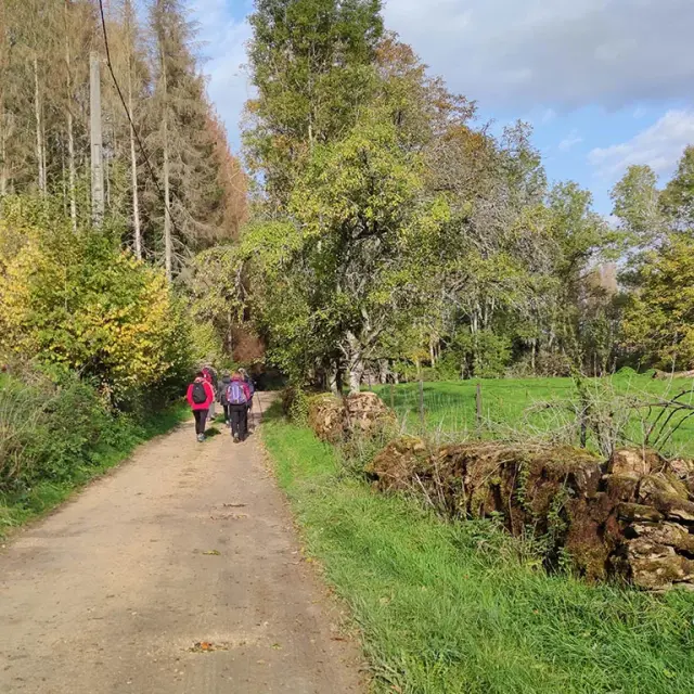 Stage Jeune Vosges11