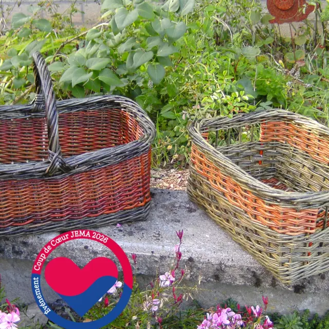 653082637 122165534012863654 8195943568996818591 N