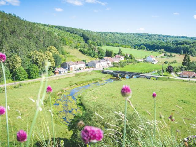 Vue du village de Circourt-sur-Mouzon depuis la pelouse calcaire