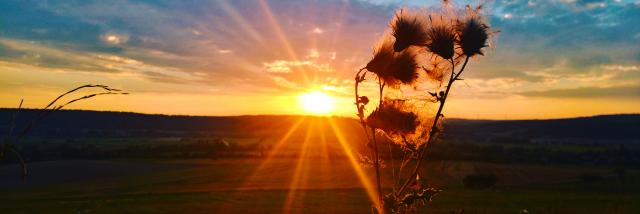 Coucher de soleil, Maxey-sur-Meuse