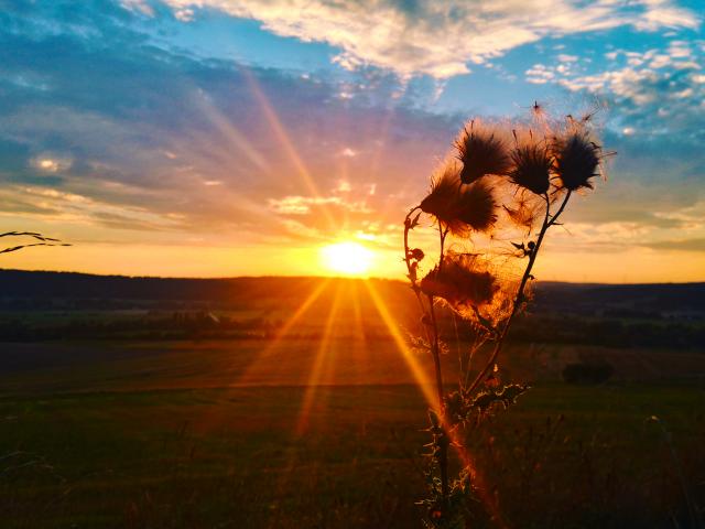 Coucher de soleil, Maxey-sur-Meuse