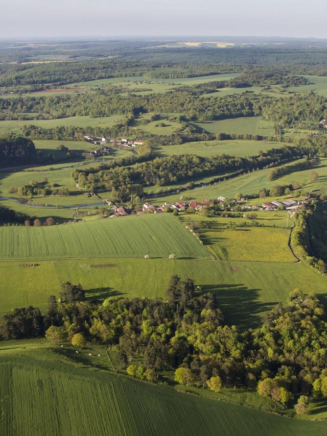 Vue de l'Ouest Vosgien