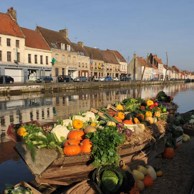Haut-Pont Bacôve Légumes Marais 2010 Saint-Omer