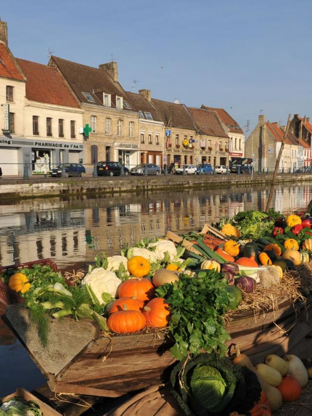Haut-Pont Bacôve Vegetables Marais 2010 Saint-Omer
