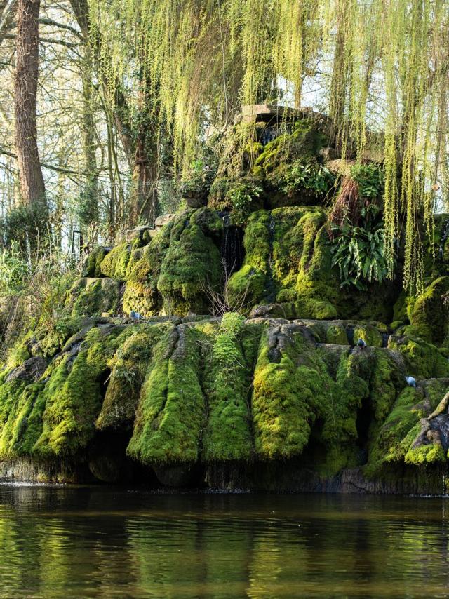 Public Garden - English Garden 2019 - Saint-Omer