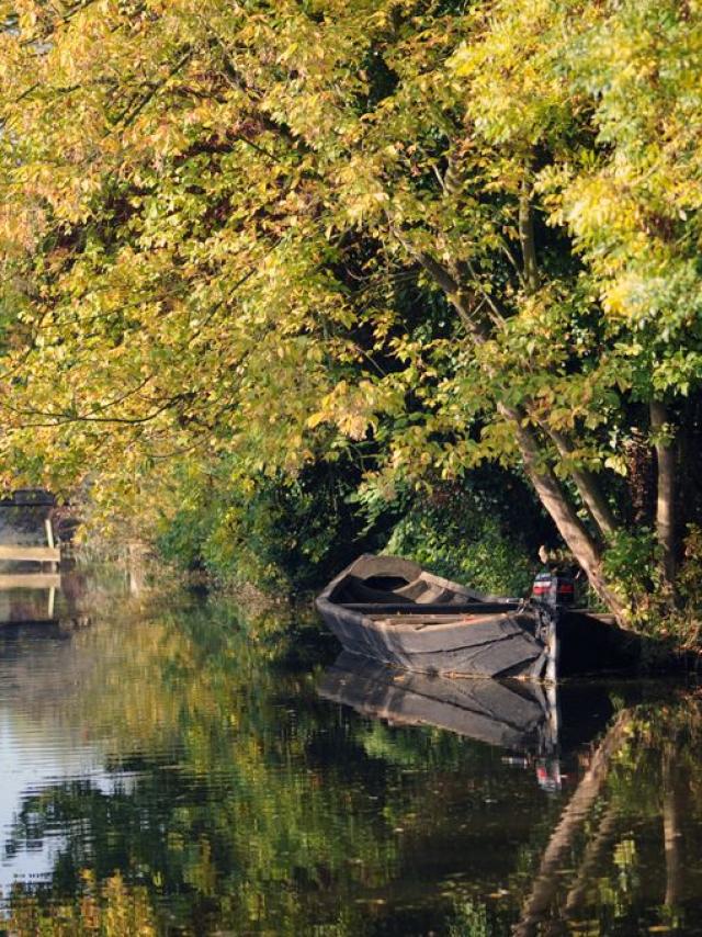 Marais Bateau Bacôve Escute 2011 Clairmarais