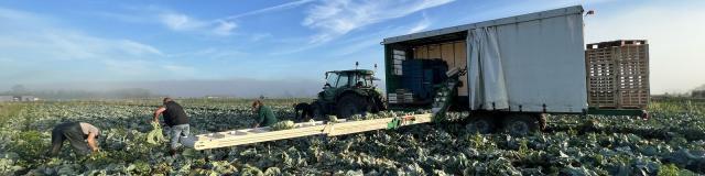 Steckbrief Xavier Morel Gemüsebauer Marais Audomarois