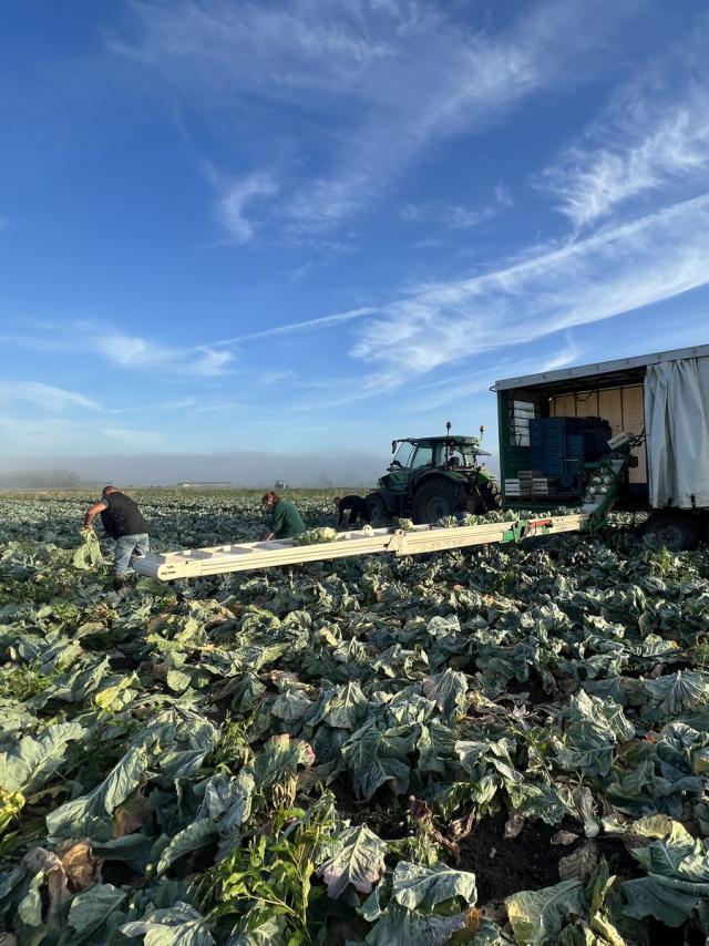 Portret Xavier Morel tuinder Audomarois (5)