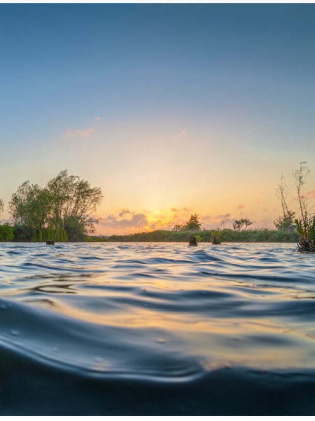 Etangs du Romelaëre Natuur- en Nationaal Park Zonsondergang Marais Audomarois