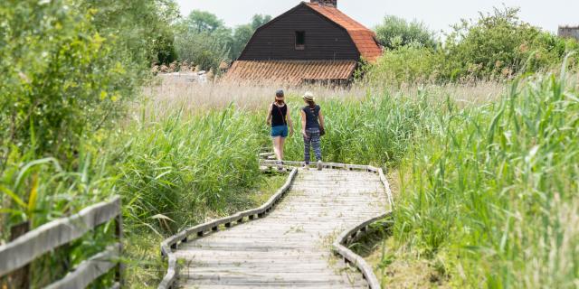 Réserve naturelle des étangs du Romelaëre à Clairmarais