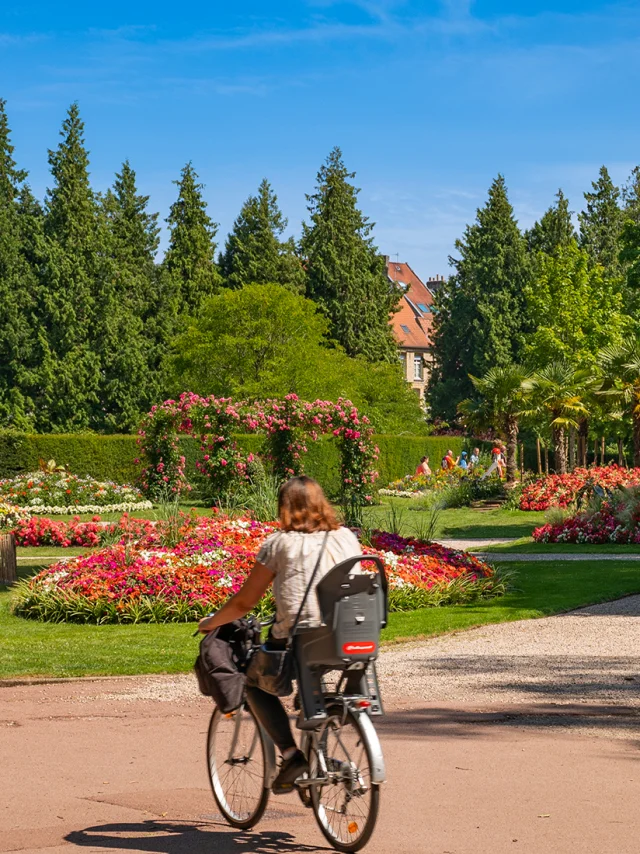 Ingang Bloemen Openbare Tuin Sint-Omaars