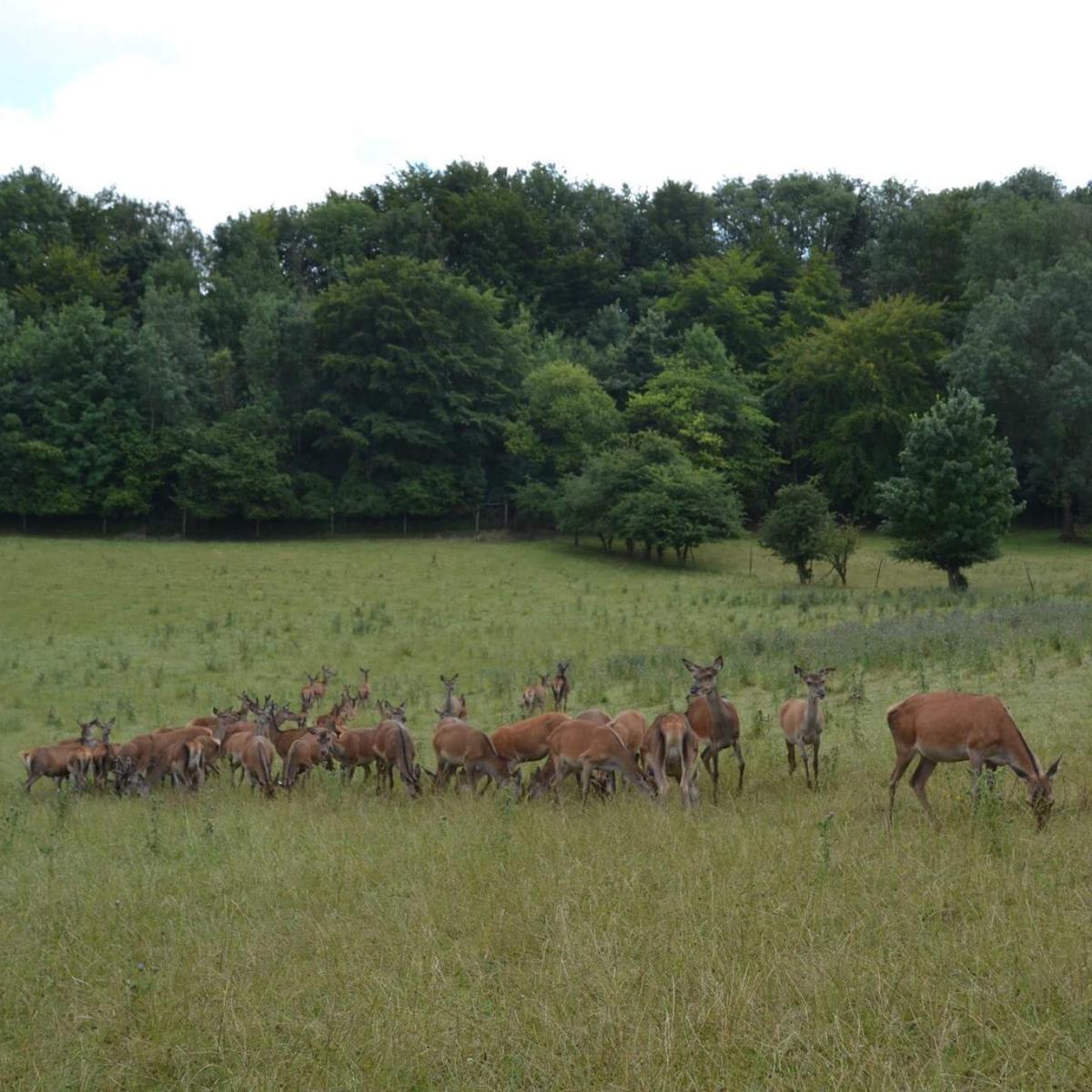 La Ferme du Mont vert | Office de Tourisme du Pays de Saint-Omer