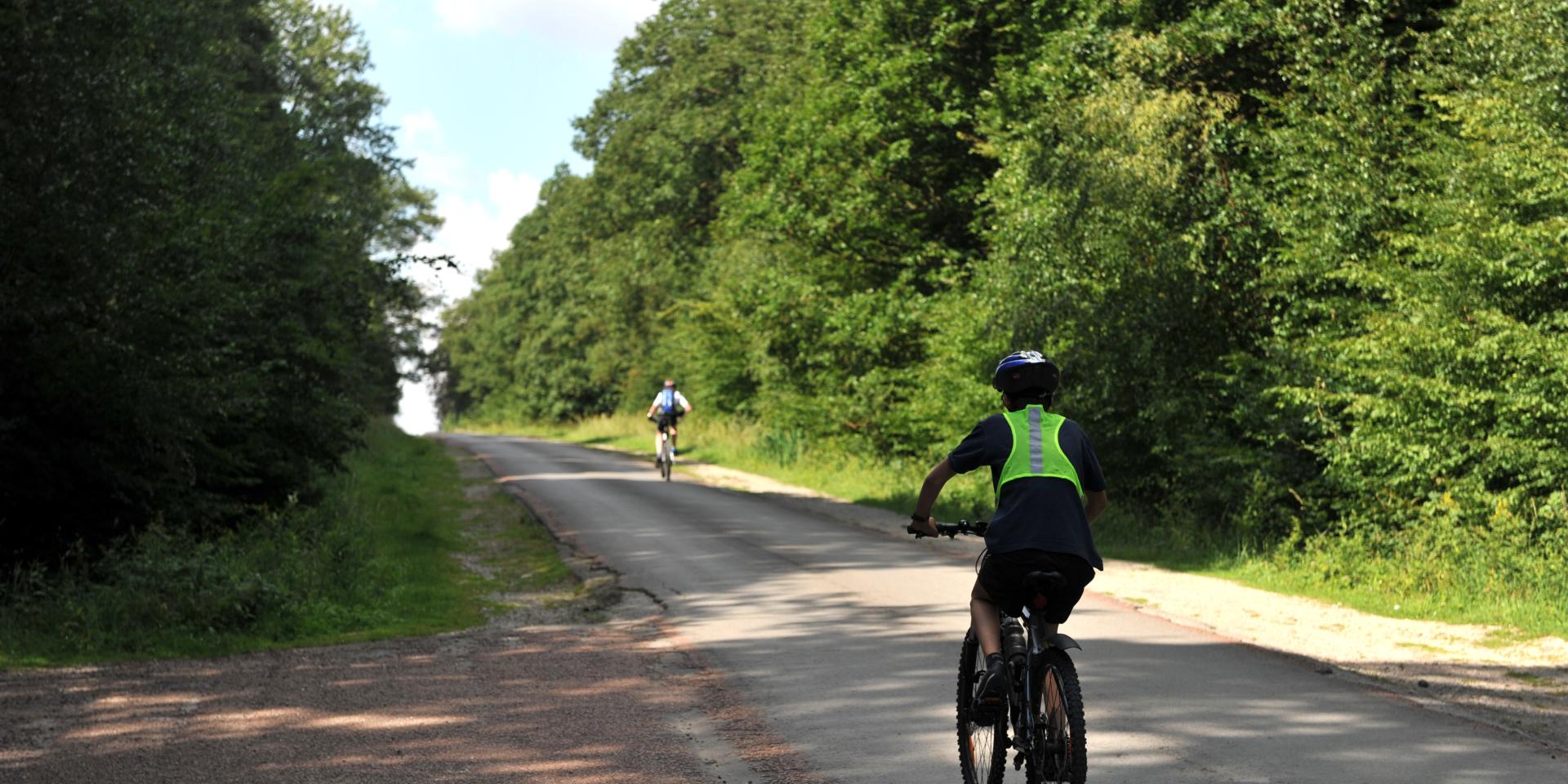 Forest of Rihoult Vélo Clairmarais (3)