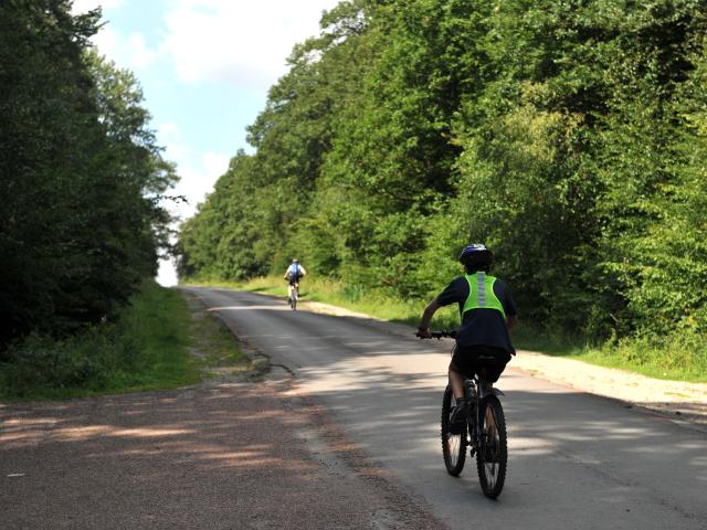 Forest of Rihoult Vélo Clairmarais (3)