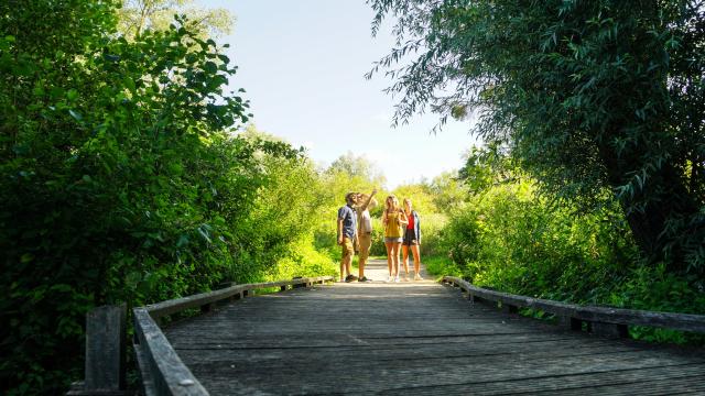 Les Ballastières Groupe Randonnée Aire-sur-la-Lys Nature