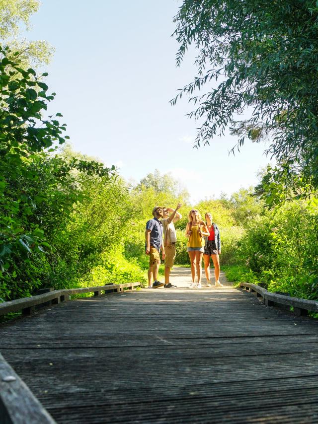 Les Ballastières Gruppe Wandern Aire-sur-la-Lys Natur