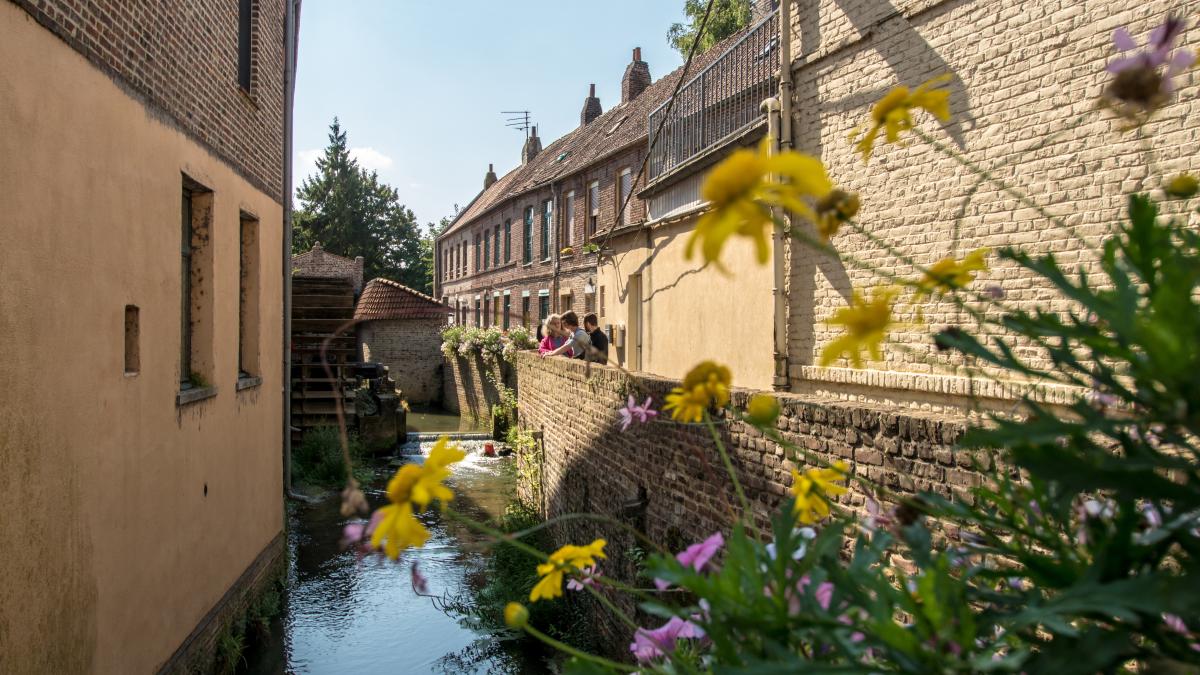Visiter le Jardin public de SaintOmer Office de Tourisme du Pays de