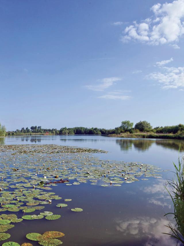 Romelaëre Ponds Reserve 2016 Clairmarais (2)
