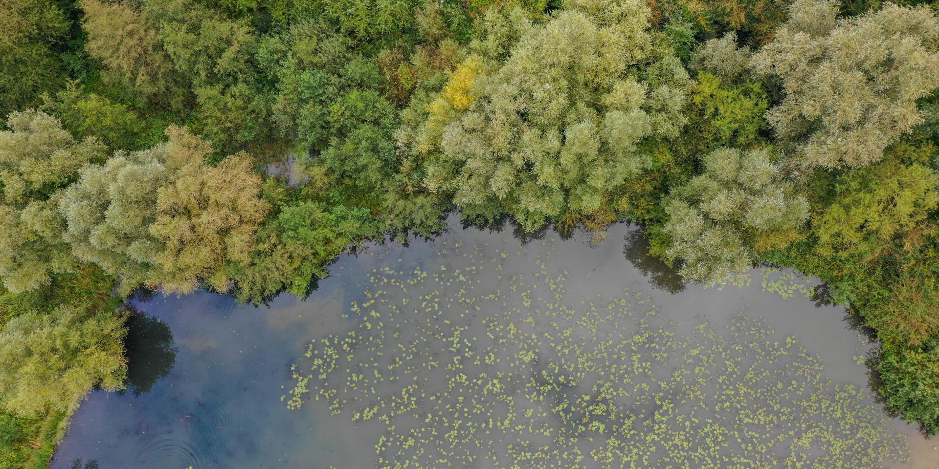 De moerassen van Saint-Omer gezien vanuit de lucht
