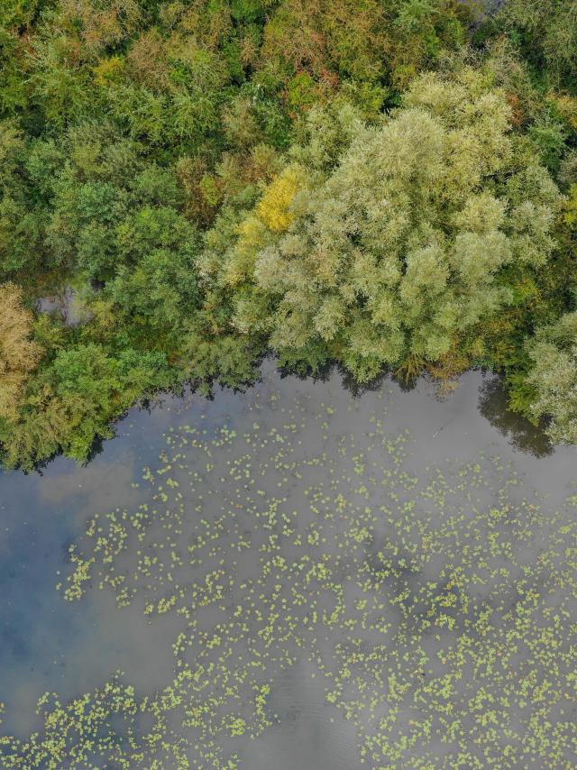 The marsh of Saint-Omer seen from the sky