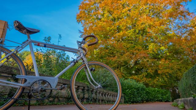 Vélo dans le jardin public de Saint-Omer