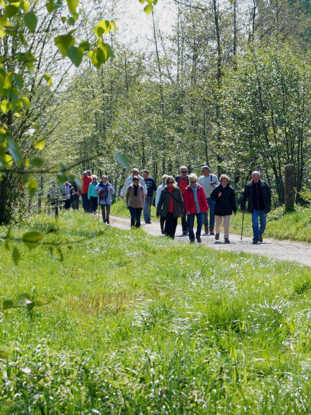 Hikers Aire Sur La Lys