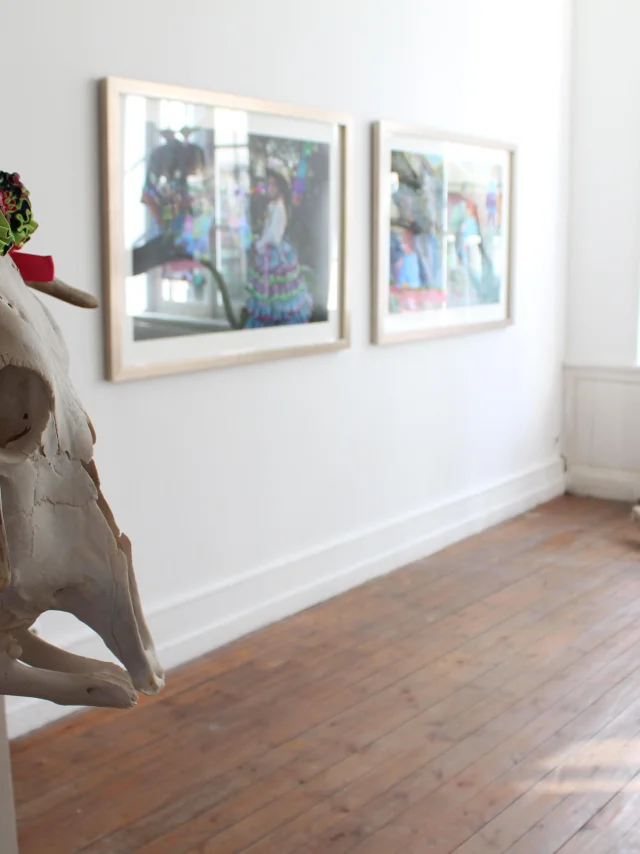 Tentoonstelling hedendaagse kunst Espace 36