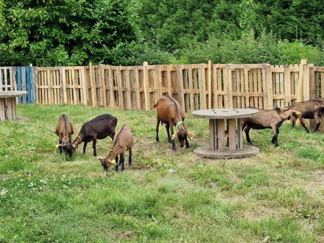 Ferme La Chev'riotte RECLINGHEM © La Chev'riotte (1)