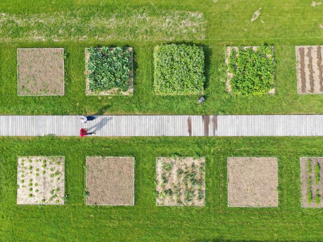 Jardin du Potager Conservatoire Koppel © Tourisme en pays de Saint-Omer (6)