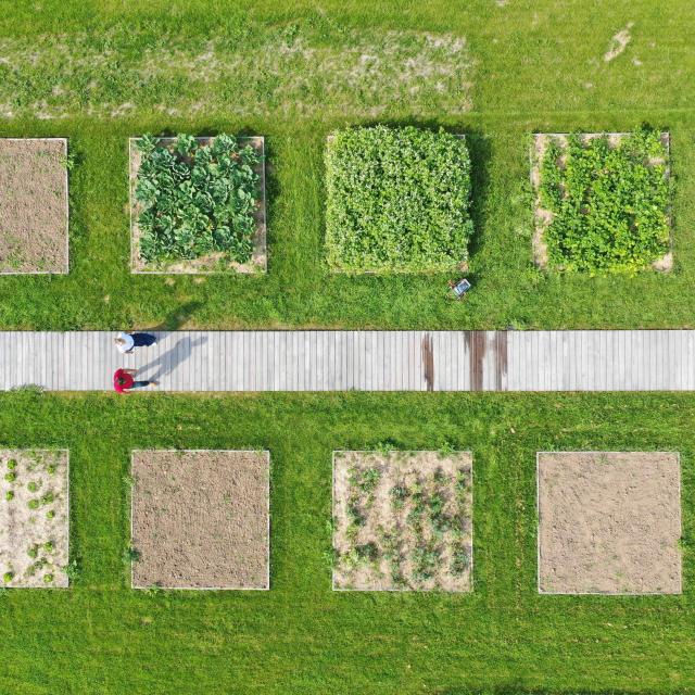 Jardin Du Potager