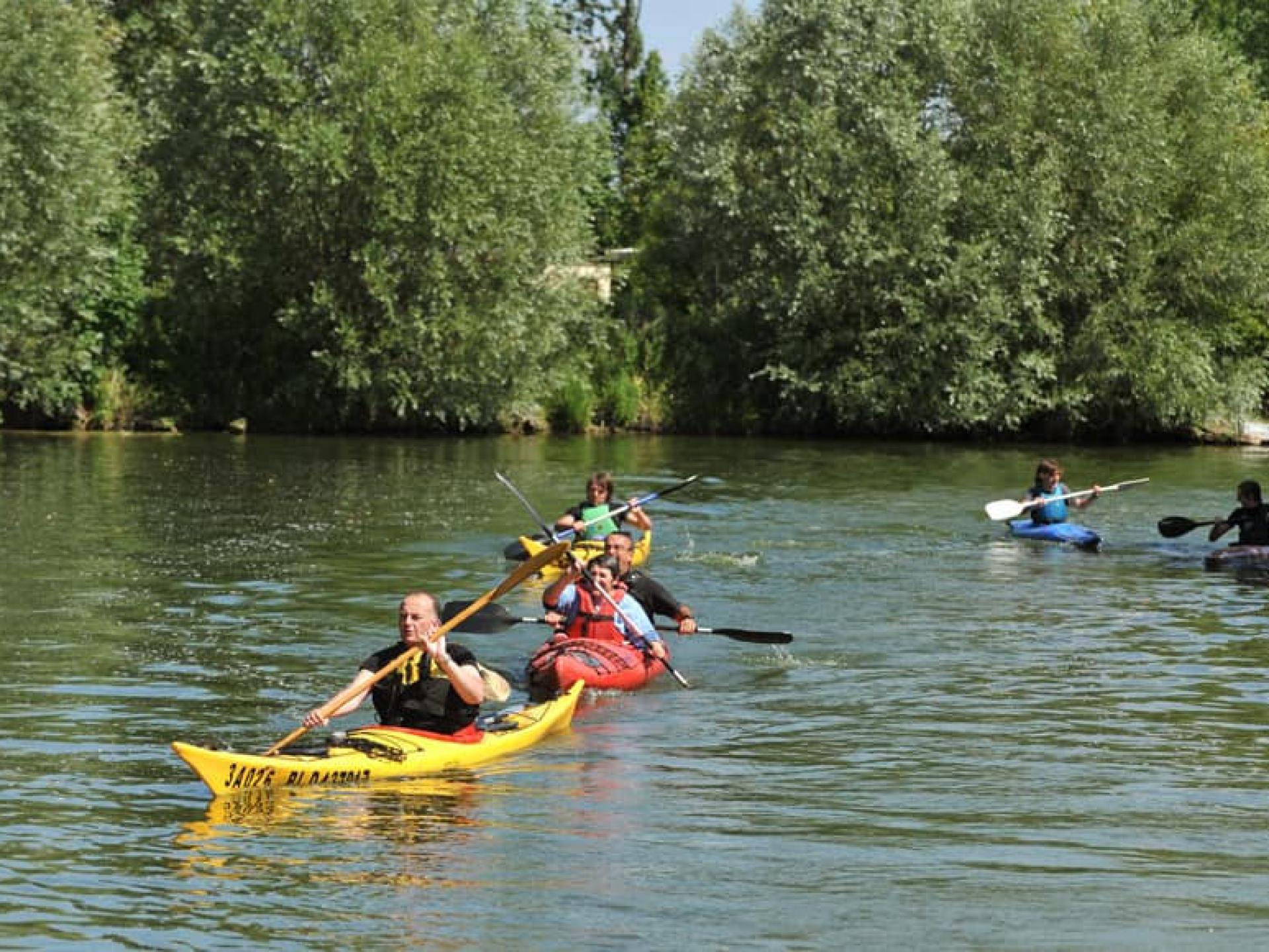 Louer un canoë kayak dans le marais Audomarois Office de Tourisme du
