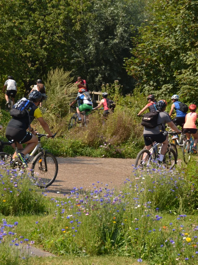 MTB Station Trail Groep LUMBRES © CCPL (2)