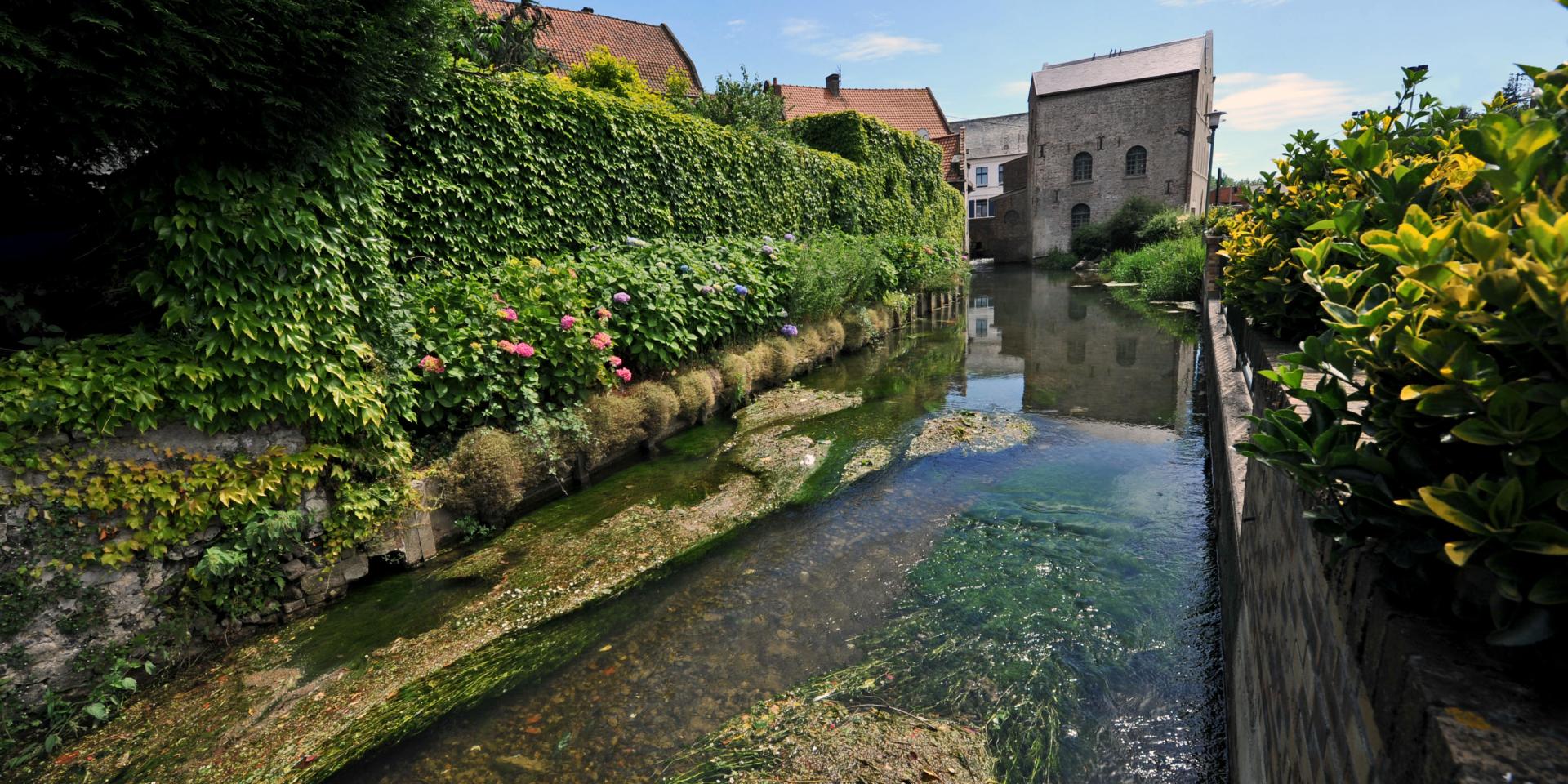 fauquembergues moulin manessier1 © 2010-Photo Carl-Office de Tourisme de la Région de Saint-Omer
