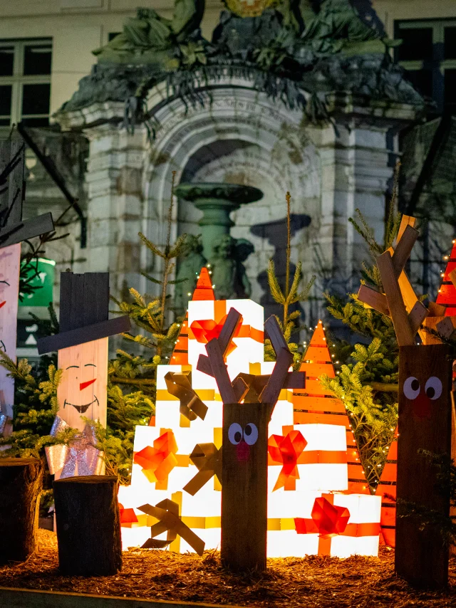 Marche De Noel Saint Omer